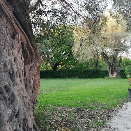 La Casa Di Caterina: Nature,relax And Private Garden